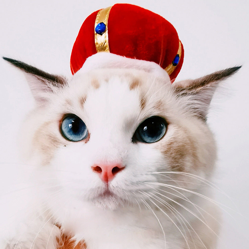 Funny Pet Dog Cat Costume Warm Hat Photo Props Headwear My Store