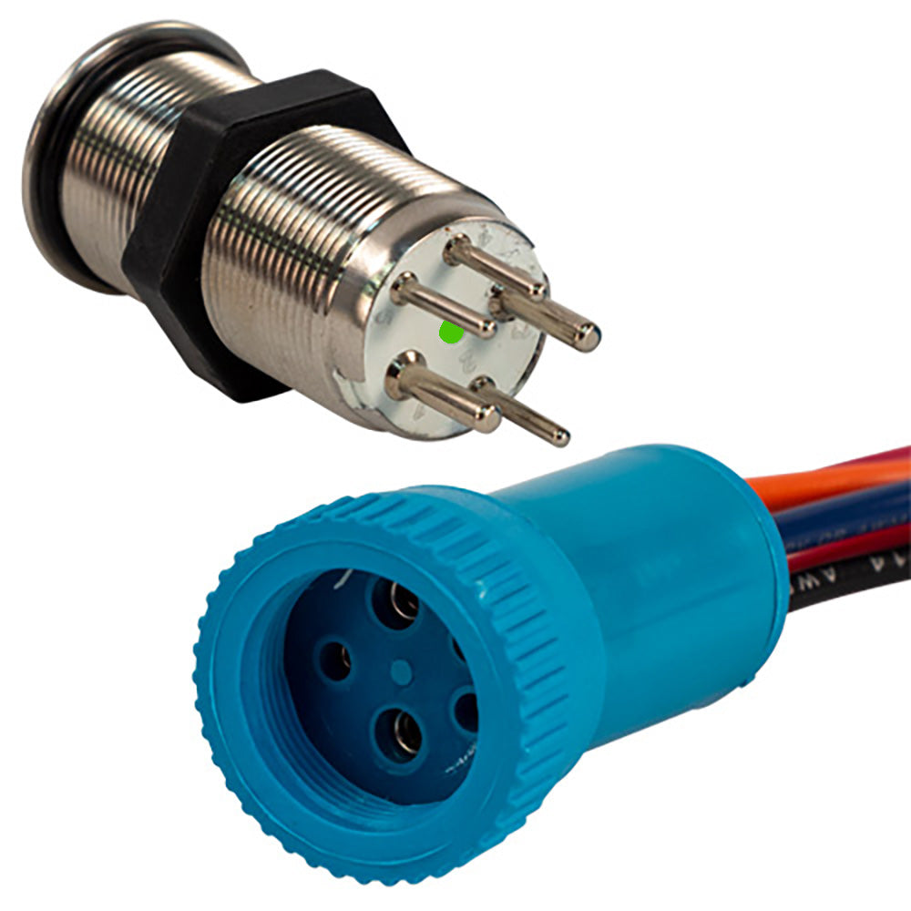 Bluewater 19mm Push Button Switch - Off/(On) Momentary Contact - Blue/Red LED - 4' Lead TRAPSKI