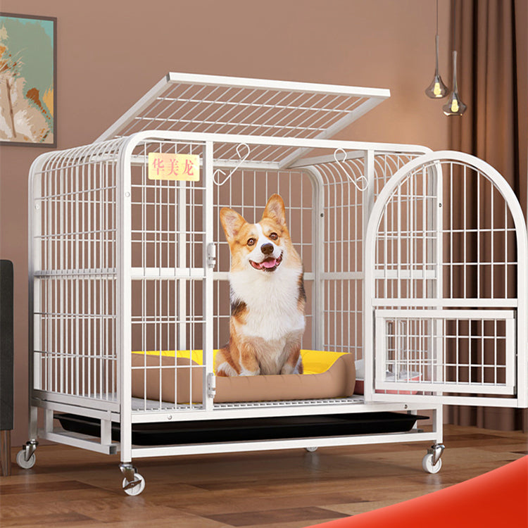Detached Home Indoor Fenced Corgi Kennel