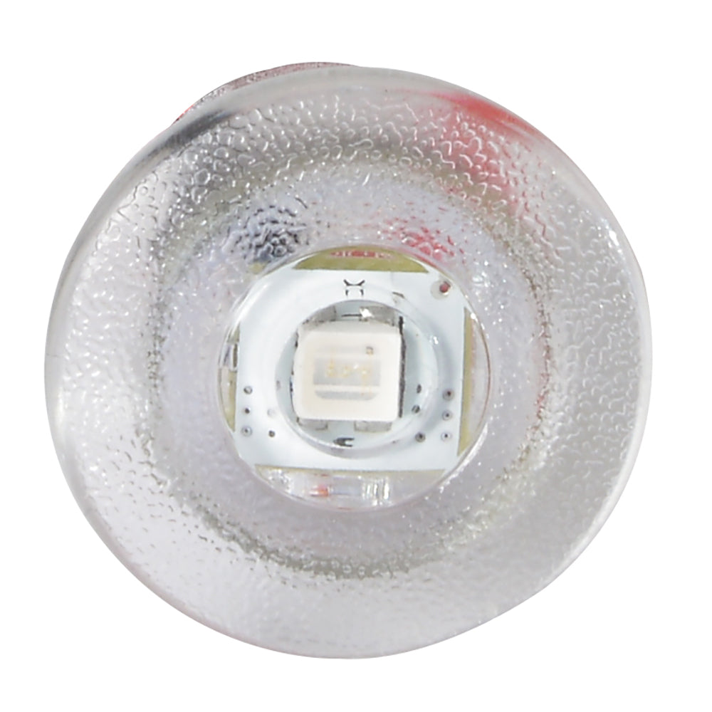 Lumitec Newt - Livewell & Courtesy Light - Blue Dimming TRAPSKI