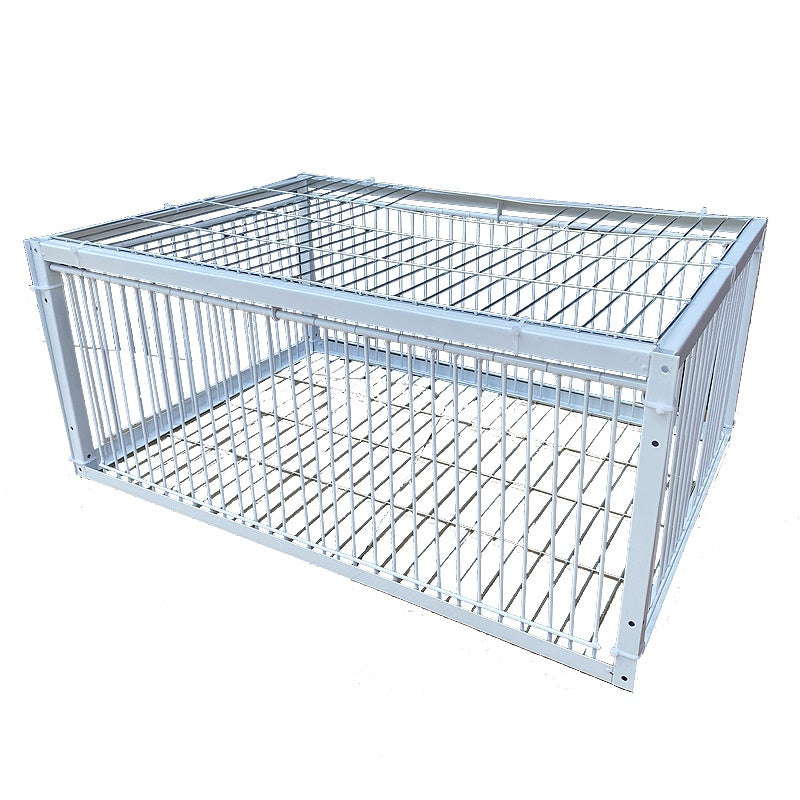 Pigeon Active Network Door Encrypted Return Cage