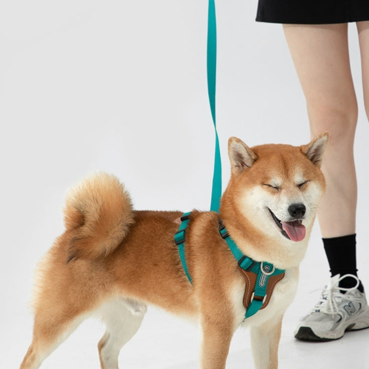 Dog Rope Leash Multifunctional Explosion-proof Okinawa Dog Leash Chest Strap