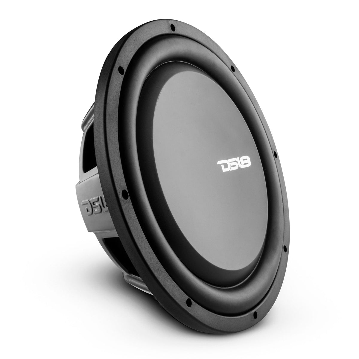 PS Shallow-Mount Water Resistant 12" Subwoofer | 600W RMS DVC 4-Ohm DS18