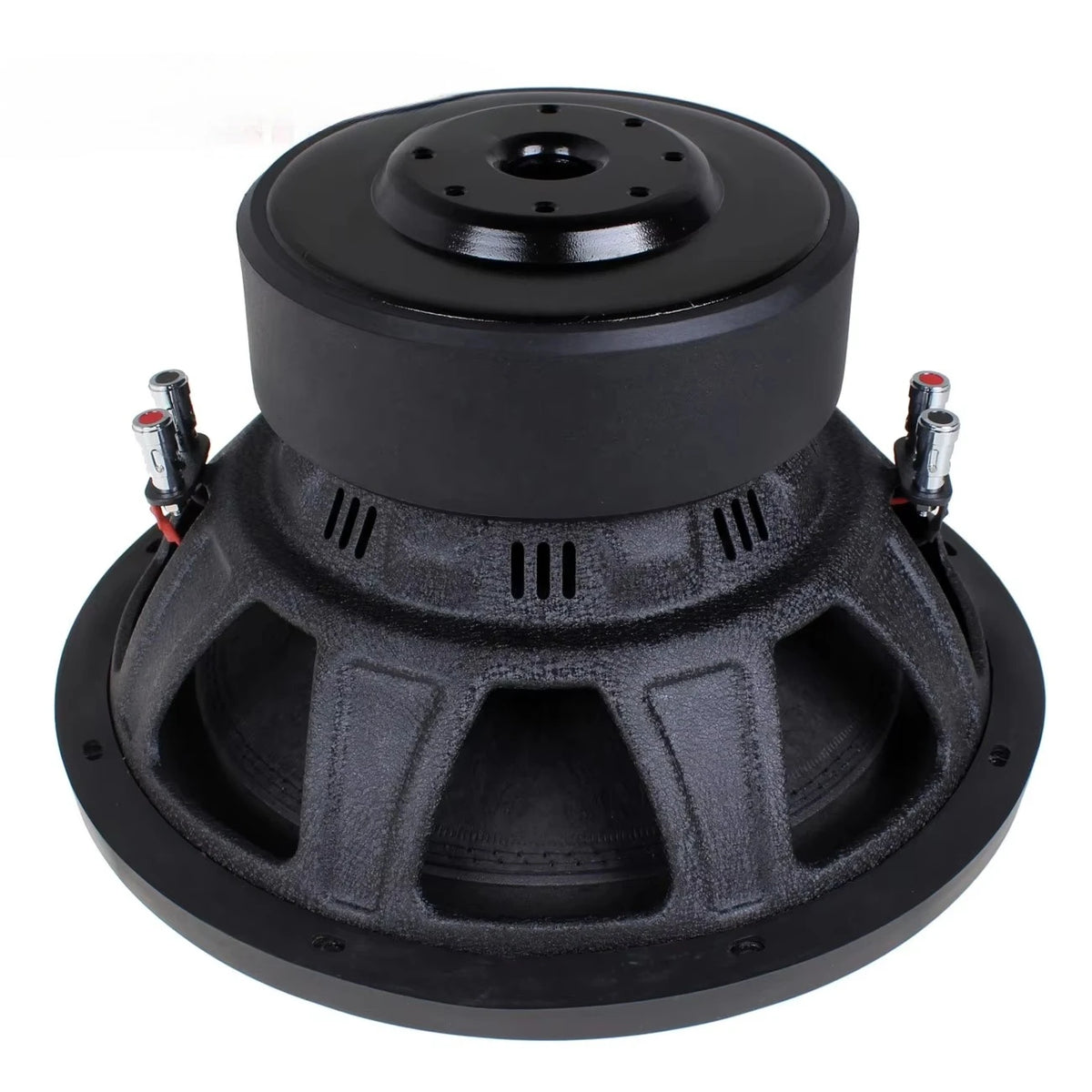 12-Inch Dual-Magnet Subwoofer Bestbuyback