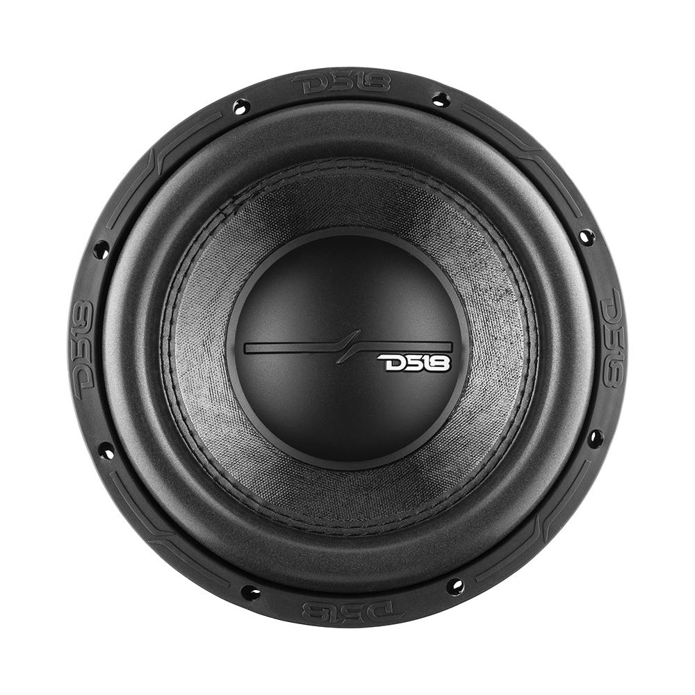 ZR 10" Subwoofer 700 Watts Rms DVC  2-Ohm DS18